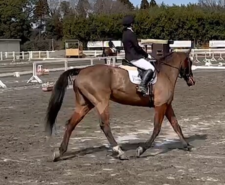 乗馬の動画撮影〜データ送付します 〜自分の騎乗姿勢の見直しに〜馬と仲良くなりましょう♪ イメージ2
