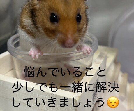 老人介護が必要な方との関わり方を一緒に考えます 1人で悩んでいる方、一緒に考えていきましょう。 イメージ1