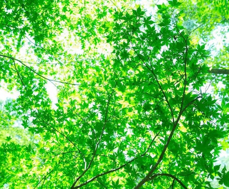 どんな些細なお話でも聴きます 今日あったことやずっとモヤモヤしていること話してみませんか？ イメージ1