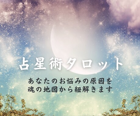 金運仕事運アップ✦魂の計画を思い出し人生設計します 詳細鑑定✦生まれ持ったあなたの性格を元にお悩み解決いたします イメージ2