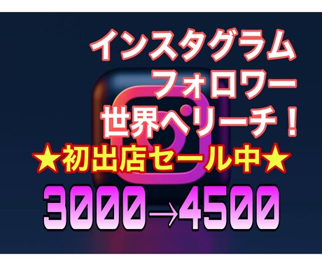 インスタフォロワー/Instagramを宣伝します 海外フォロワー3000人〜 インスタグラム 初出店サービス中 イメージ1