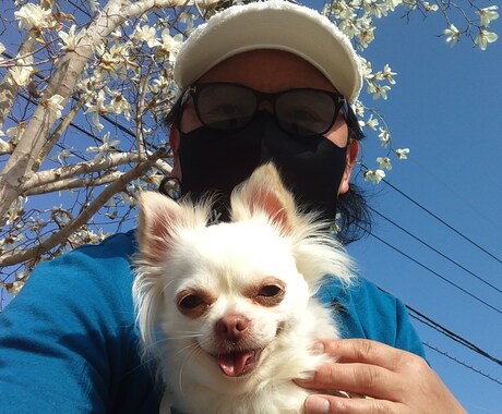 身も心もスッキリ 一人ではない 俺以外か俺がいます 独り飲み 旅 TVスポーツ観戦一緒に楽しいトークを♪ イメージ2