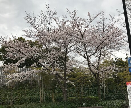 些細なお話から濃いお話まで聞きます 一緒に考えて悩みお話しましょう♪ イメージ1