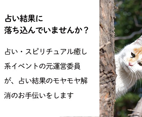 占い結果に落ち込んでいませんか？相談のります 元占いイベント実行委員がその占いの解釈をお手伝いします イメージ1