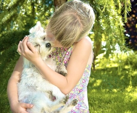 免疫力アップ♡愛犬と絆を深めるコツを教えます 子供にも、仕事で忙しい大人にも。犬の年齢は関係ありません。 イメージ1