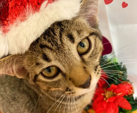 何でも屋！なんでもききます なんでも受け止めます。なんでもいいんです。 イメージ2