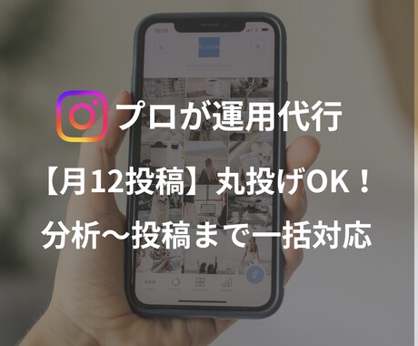 インスタグラム運用します Webデザイン歴5年のデザイナーがインスタグラム運用をします イメージ1