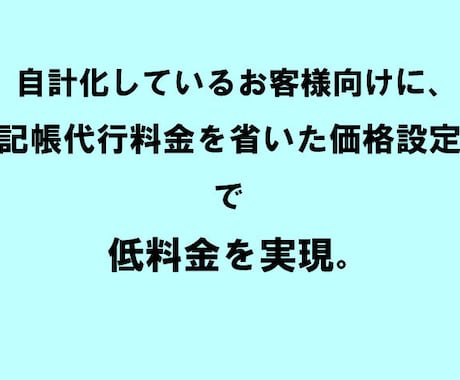 東京の税理士法人が法人税・消費税を電子申告します 満枠でも対応！セルフ方式適正価格の法人税・地方税・消費税申告 イメージ2