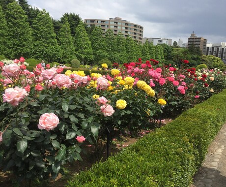 困った時にすぐ対応、遠隔で気を送ります 依頼を確認し次第、すぐに気を送ります イメージ1
