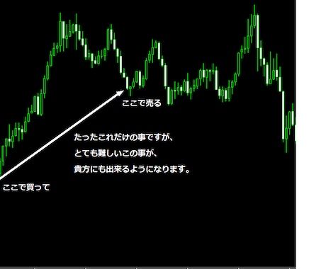 勝ち続ける為の最強トレード手法を教えます 【最強トレードで勝つ！】本日19時jまでお値引中！残り18 イメージ1