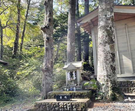 心が必ず軽くなる霊感霊視タロットします 可能な限り即対応！10分間のチャットで適宜質問（延長可能） イメージ1