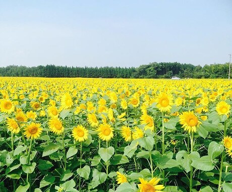 不安や愚痴、お悩み何でも聞きます 嫌なことが続き、ストレスを感じている方へ イメージ2