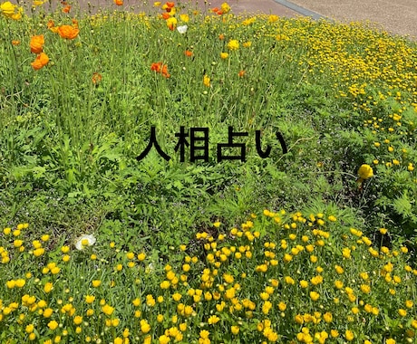 自分の「顔」にまだ知らないあなたが隠れています 頑張りすぎて疲れた心に、優しい気づきの時間を。 イメージ1