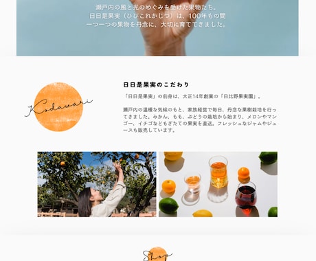 とりあえずホームページが欲しい!低価格で作成します 初心者、無知の方でも管理しやすいWIXで納品いたします。 イメージ2