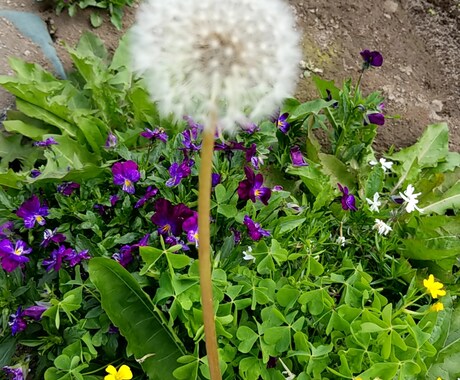 色々な日常がここにあります 切り取った日常が素晴らしいことも イメージ2