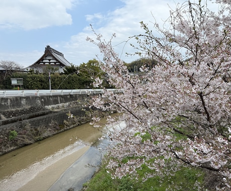 躁うつ病歴25年の浄土真宗の僧侶がお話聞きます 仏教の僧侶だからこその話が出来ると思っています。 イメージ1