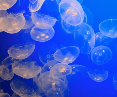 モヤモヤ吐き出そ❗️愚痴も雑談も全部聴きます 私が優しく寄り添います！即お電話OK イメージ2