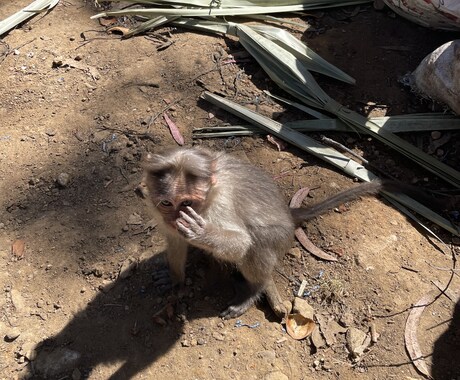 インド×Life相談室します インド生活の疑問も不安もスッキリ解決！ イメージ1