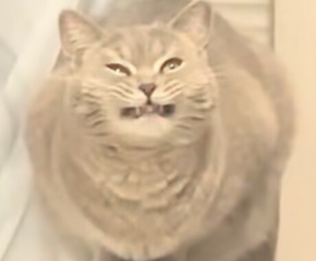 お話聞きます 気軽にご相談ください。お話伺います。 イメージ1