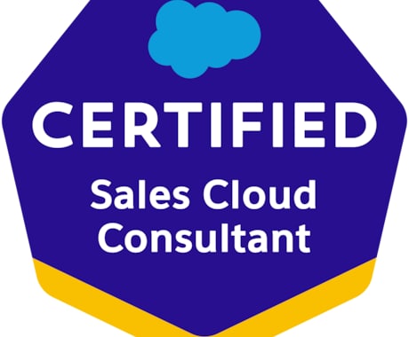 Salesforceの設定や活用のお手伝いします Salesforce活用定着化＆初心者支援のプロがサポート！ イメージ1