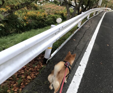 何気ない日々のお話お聞きします ひなたぼっこで何気ないお話しをしましょう⭐︎ イメージ2