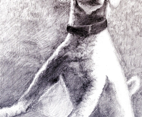 温かみのある鉛筆画でペットさんの絵をお届けします いろいろな動物描けます！記念やプレゼント用に イメージ2