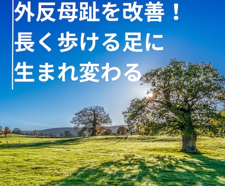 外反母趾を改善するためのエクササイズを教えます 痛みを改善して長く歩ける足に生まれ変わる！ イメージ1