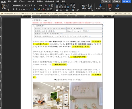 小規模事業者持続化補助金の申請書の雛型販売します 初めての方でも安心！テンプレ見ながら書き込めば採択率UP! イメージ2