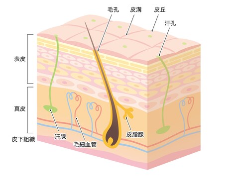 汗に関する問題集（自作）を差し上げます 汗の勉強されている方、汗についての知識を深めたい方へ イメージ1