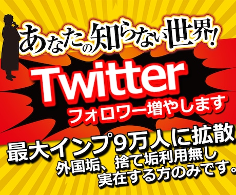 Twitterフォロワーを250人以上増やします 【6月限定価格】外国・捨て垢無し！最大インプ9万弱！自然4 イメージ1