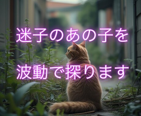 迷子のあの子を波動で探ります -あの子との絆を感じながら、探すヒントをお伝えします- イメージ1