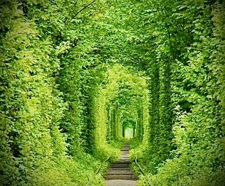 開運の手助けをいたします 光に包まれた人生を歩みましょう。 イメージ1