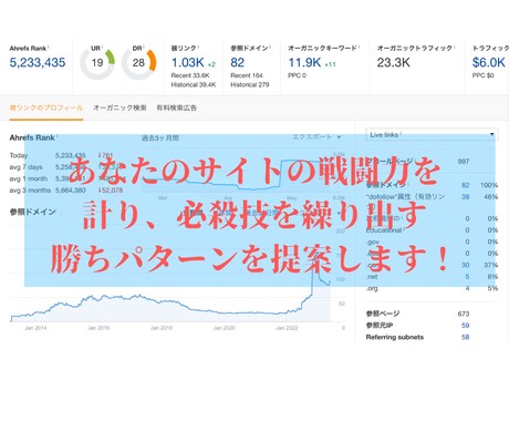 あなたのブログ記事添削と収益化をアドバイスします サイト診断で記事の戦闘力を徹底分析&収益の伸ばし方を提供❗️ イメージ1