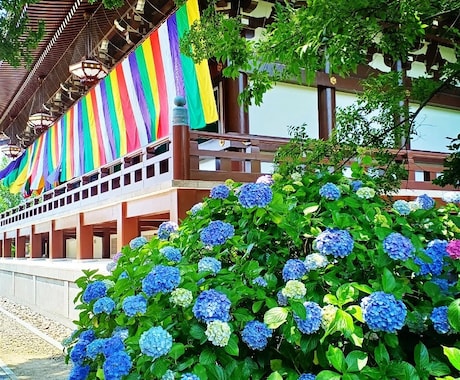 京都の四季の写真を提供します 京都の癒される四季折々の写真を！ イメージ2
