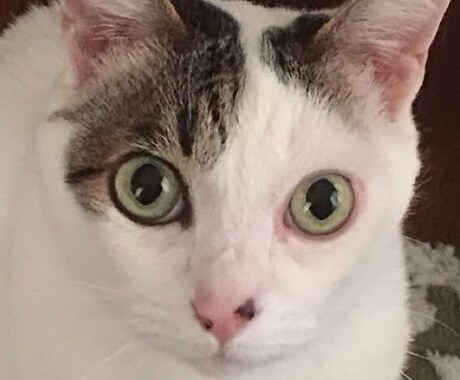 お話しお聞きします お悩み、吐き出し口がない心のモヤモヤここで晴らしましょう イメージ1