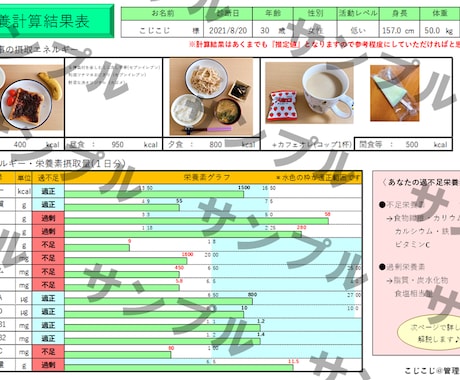 １日の栄養計算をしイラスト付き結果表をお渡しします 食のプロに気軽に相談してみませんか？ イメージ1