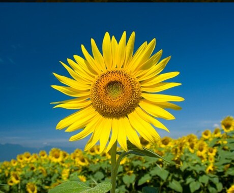 1級・2級土木施工管理技士の作文構築を手伝います 資格保持者である自身の目線からアドバイスさせていただきます イメージ1