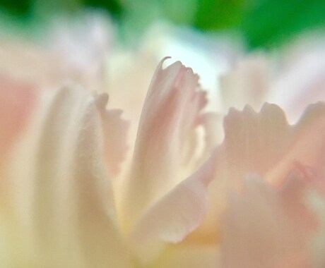 あなたのお悩みを聞きます 心明るく、気持ちよく過ごしたいと願うあなたへ イメージ2