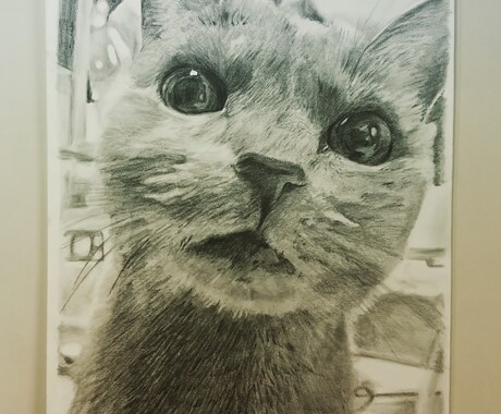 お子さまやペット等、記念に残したい鉛筆画を描きます 趣味で鉛筆画を描いています(*^^*)時間がかかる作品です イメージ2