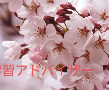 普段の授業での質問について10問お答えいたします 学習補助を基本行っていきます！ イメージ1