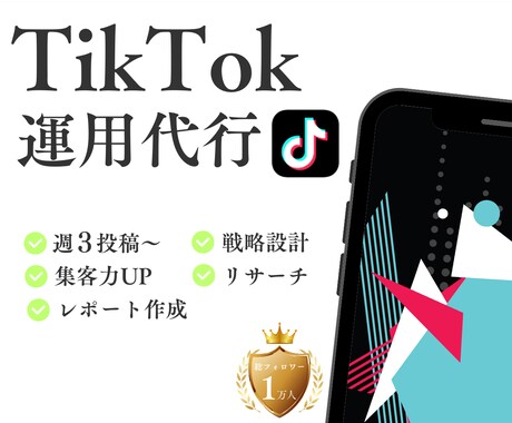 TikTok運用であなたのビジネスをサポートします まず【1社限定！】割引価格で提供いたします！ イメージ1