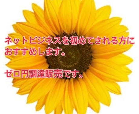 限定10名様！ゼロ円調達販売教えます ネットビジネスを低リスクから、始めたいあなたへ イメージ1