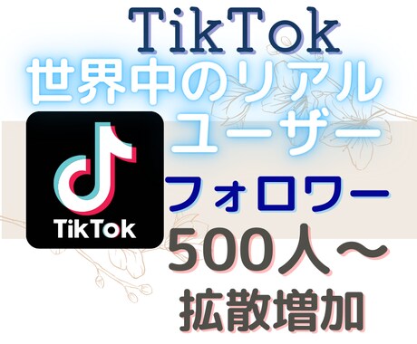 TikTokのリアルなフォロワーを増やします 全世界のリアルユーザーへアプローチ！フォロワー500人～増加 イメージ1