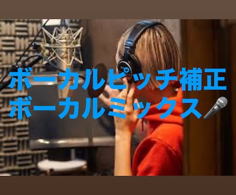 歌のピッチ補正を承ります 歌のピッチ補正3千円で5トラックまで追加料金無し！ イメージ1