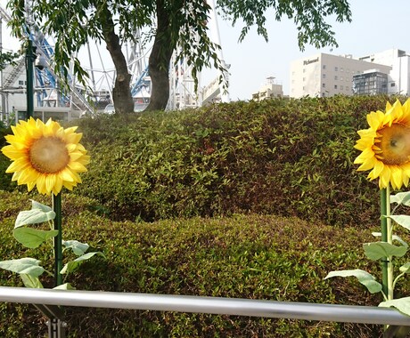 心の病気の辛さ聞きます 心の病気で苦しんでいる、誰かと話したい方へ イメージ1