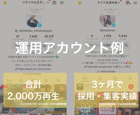 あなたのTikTokをプロが忖度0でコンサルします オンラインで1時間、質問し放題！企画・編集・改善提案など イメージ2