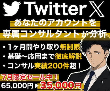X,Twitterをプロが１ヶ月徹底コンサルします あなたのアカウントに必要な運用戦略やXの解説など／質疑応答◎ イメージ1