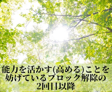活かそう！あなたの豊かな経験の2回目以降を行います 能力を活かすことを妨げているブロックが取り切れていない方対象 イメージ1