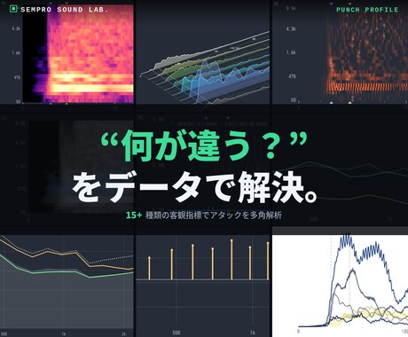 音のお悩み、原因をグラフ・数値で診断します 多種多様な分析手法で、MIX・歌ってみた・音作りまで徹底解剖 イメージ2