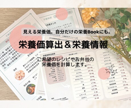 写真を送るだけ！毎日の食事栄養を算出します “自分だけの食事栄養レポート”をお届け【栄養算出のみプラン】 イメージ1